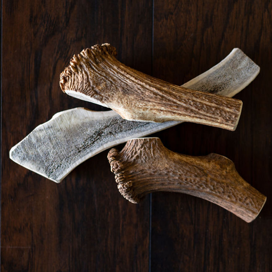Jumbo Elk Chew-0